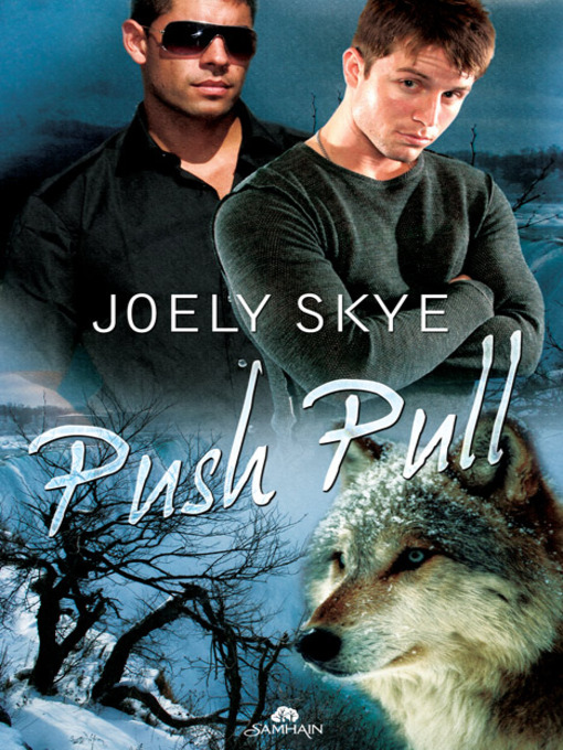 Title details for Push Pull by Joely Skye - Available